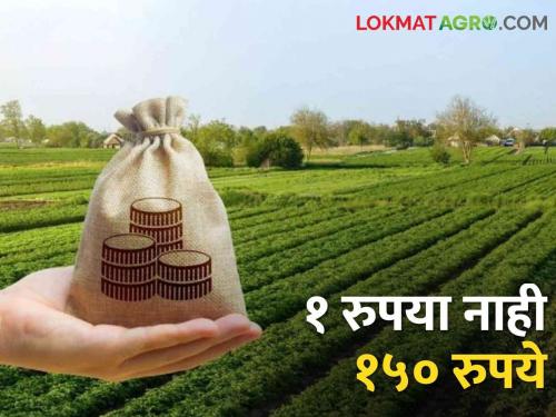 You say crop insurance for one rupee is but maha e seva kendra charge 150 rupees | तुम्ही म्हणताय एक रुपयात पिक विमा पण इथं आमचा खिसा होतोय रिकामा