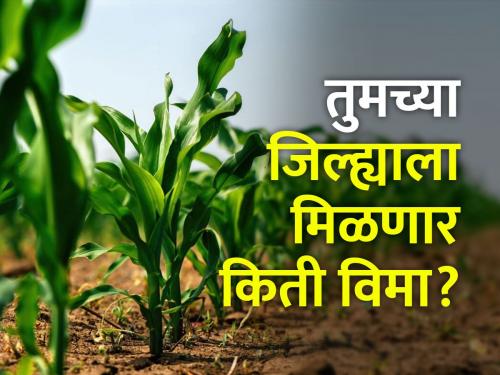 In the first phase, 35 lakh farmers will get advance crop insurance of Rs 1700 crore | पहिल्या टप्प्यात ३५ लाख शेतकऱ्यांना १७०० कोटी रुपयांचा अग्रीम पीक विमा मिळणार