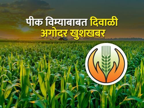 Crop insurance advance in farmers account before Diwali | दिवाळीपूर्वी पीक विम्याचा अग्रीम शेतकऱ्यांच्या खात्यात