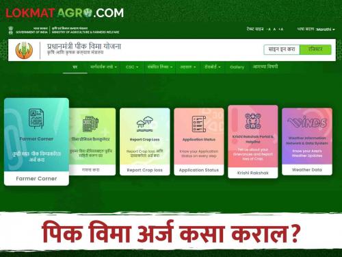 Pik Vima: is taking out crop insurance for one rupee. How to apply online from mobile | Pik Vima एक रुपयात पीक विमा काढताय? कसा कराल मोबाईलवरून अर्ज