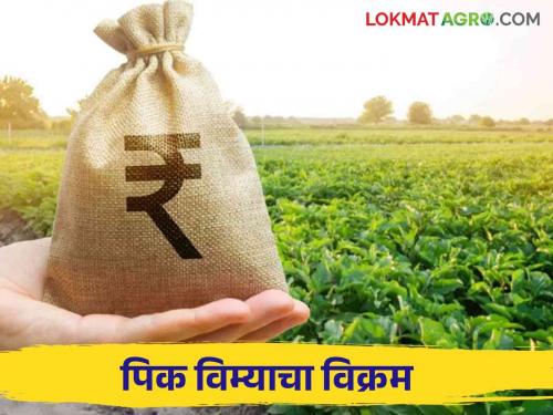 Pik Vima: 1 crore 65 lakh 70 thousand 437 crop insurance applications filed in the state | Pik Vima: राज्यात १ कोटी ६५ लाख ७० हजार ४३७ पीकविमा अर्ज दाखल