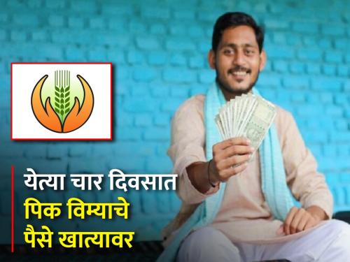 613 crore compensation to farmers for crop insurance | शेतकऱ्यांना मिळणार ६१३ कोटींची पिक विमा भरपाई