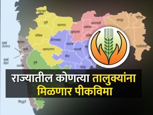 Diwali gift to farmers as trigger-two of crop insurance comes into effect | पिकविम्याचा ट्रिगर-टू लागू झाल्याने शेतकऱ्यांना दिवाळी गिफ्ट