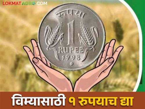 Paying crop insurance then CSC center per insurance application Do not pay more than one ruppes | Pikvima: शेतकरी बांधवांनो, १०० रुपये वाचवा, घरीच भरा पीक विमा, कॉम्प्युटरवाल्याला कशाला जास्तीचे पैसे देता?