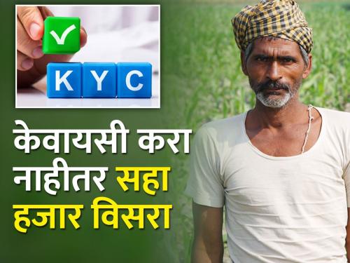 Do KYC for PM Kisan Yojana as soon as possible | पीएम किसान योजनेसाठी लवकरात लवकर केवायसी करून घ्या