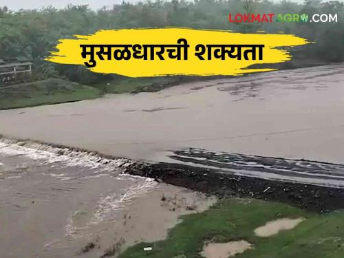 Weather Update: Chance of heavy rain in Palghar district from 12th to 15th July | Weather Update: १२ ते १५ जुलैदरम्यान पालघर जिल्ह्यात मुसळधार पावसाची शक्यता