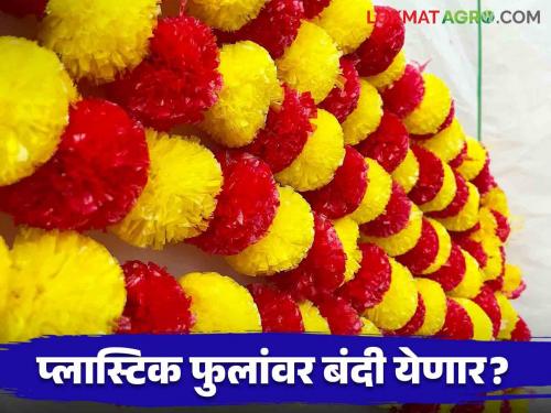 Plastic Flowers Ban: Will plastic flowers be banned? High Court's inquiry to the Central Government | Plastic Flowers Ban : प्लास्टिक फुलांवर बंदी आणणार का? उच्च न्यायालयाची केंद्र सरकारकडे विचारणा