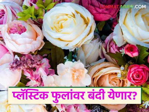 Plastic flowers will soon be banned in the state; relief for flower grower farmers | राज्यात प्लास्टिक फुलांवर लवकरच येणार बंदी; फूल उत्पादक शेतकऱ्यांना दिलासा