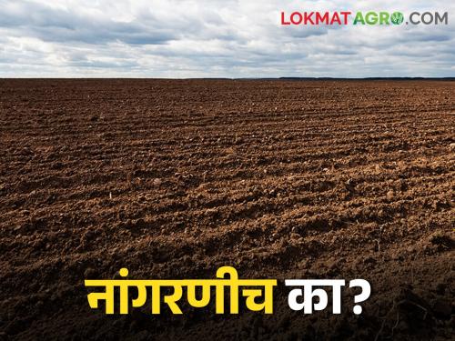 Why ploughing the land? What are the benefits? | Ploughing जमीन का नांगरावी? काय आहेत फायदे