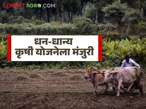 Cabinet approves PM Dhan-Dhanya Krishi Yojana, what is this scheme? | PM Dhan Dhanya Yojana : पीएम धन-धान्य कृषी योजनेला मंत्रिमंडळाची मंजुरी, काय आहे ही योजना? 