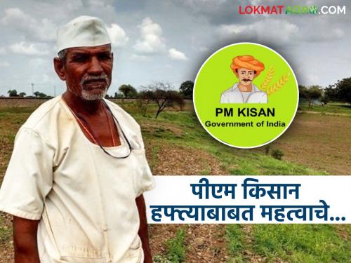 Latest News PM Kisan's next 20th installment weekly payment is received after 15 june 2025, read in detail | PM Kisan : पीएम किसानचा पुढील हफ्ता 'या' तारखेनंतर मिळण्याची शक्यता, वाचा सविस्तर 