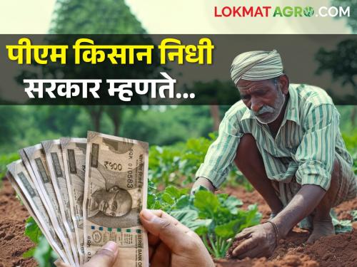 PM Kisan Yojana; Farmers will get not 12 thousand but how much rupees | पीएम किसान योजना; शेतकऱ्यांना १२ हजार नव्हे तर किती रुपये मिळणार