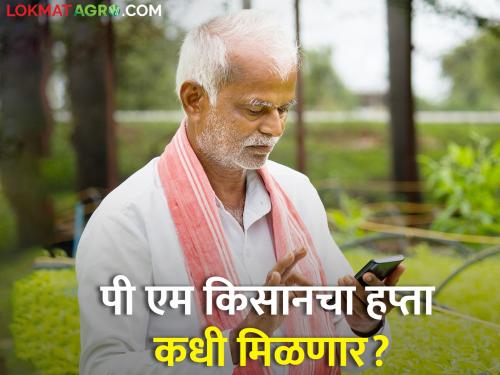 When will the next installment of Pradhan Mantri Kisan Samman Nidhi be received; But do you have to do this? | प्रधानमंत्री किसान सन्मान निधीचा पुढचा हप्ता कधी मिळणार; पण हे करावे लागेल?