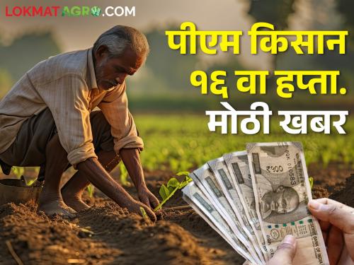 PM Kisan nidhi; You will get the next installment only if you do this | पीएम किसान निधी; हे कराल तरच मिळेल पुढचा हप्ता