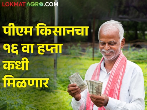 Planning for the 16th installment of 'PM Kisan' निधी; Soon the money will be in the farmer's account | पीएम किसान निधीच्या १६ व्या हप्त्याचे नियोजन; लवकरच पैसे शेतकऱ्यांच्या खात्यावर