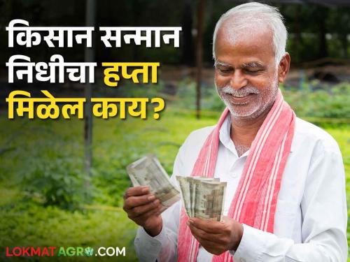 PM Kisan; The farmers of the state will not get the 17th installment of Kisan Samman? What is the matter? | PM Kisan किसान सन्मानचा १७ वा हप्ता राज्यातील शेतकऱ्यांना मिळणारच नाही? काय आहे प्रकरण?