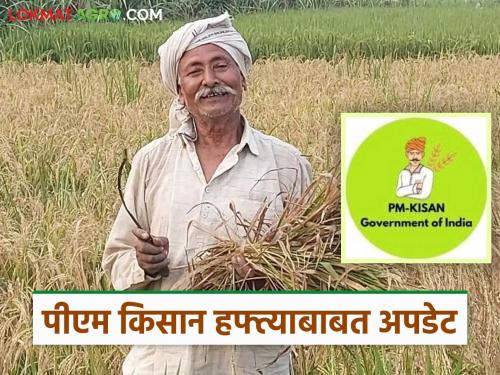 Latest News PM Kisan 20th installment of PM Kisan come and pending installments Read in detail | PM Kisan : पीएम किसानचा 20 वा हफ्ता कधी येणार? पेंडिंग हफ्त्यांचे काय? वाचा सविस्तर 