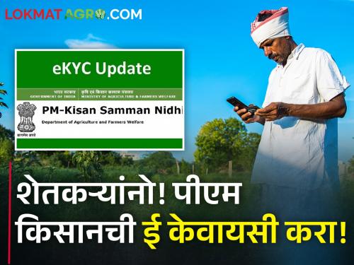 Latest News How to do PM Kisan e KYC? Know the complete process | शेतकऱ्यांनो! पीएम किसानची ई केवायसी करा! अनेक शेतकरी वंचित 
