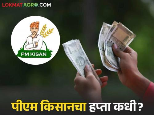 PM Kisan's 20th installment will be deposited in the account soon; How to check your name in the list? | पीएम किसानचा २० वा हप्ता लवकरच खात्यावर जमा होणार; यादीत तुमचे नाव कसे चेक कराल?