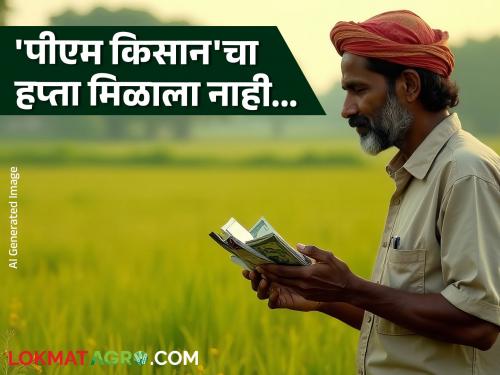 PM Kisan Hapta : You have not received your 'PM Kisan' installment; What could be the reasons? | PM Kisan Hapta : तुम्हाला 'पीएम किसान'चा हप्ता आला नाही; काय असू शकतात कारणे?