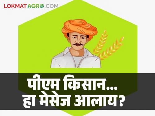 PM Kisan SMS received.. Money not received; Where did your money get stuck? | PM Kisan एसएमएस आलाय.. पैसे आले नाहीत; तुमचा सन्मान कुठे अडकला?