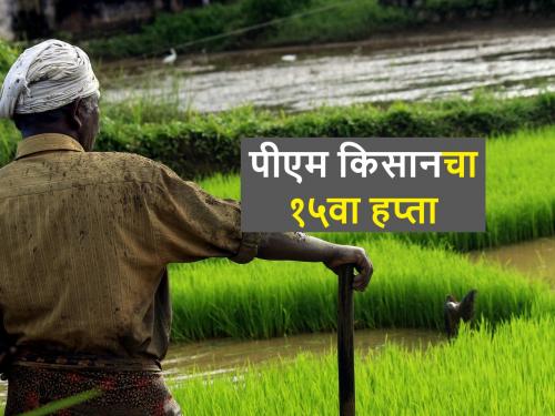 know the date of 15th instalment of PM Kisan samman | पीएम किसान योजनेचा १५ वा हप्ता कधी येणार खात्यात? जाणून घ्या