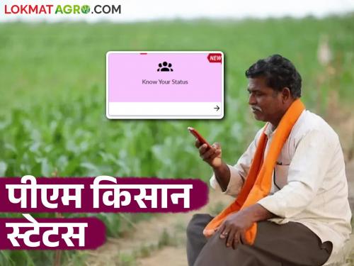 Latest News PM Kisan Scheme How to check PM Kisan Yojana status Know the details | PM Kisan Status : पीएम किसान योजनेचे स्टेटस कसे चेक करायचे? जाणून घ्या एका क्लिकवर 