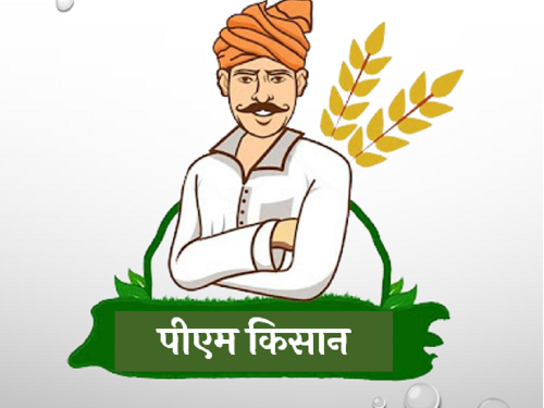 85.66 lakh farmers in Maharashtra will get the benefit of PM Kisan Yojana | महाराष्ट्रातील ८५.६६ लाख शेतकऱ्यांना मिळणार पीएम किसान योजनेचा लाभ