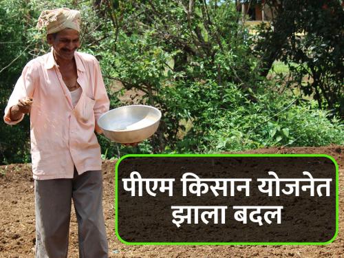 There has been a change in the PM Kisan Yojana in the state | राज्यात आता पीएम किसान योजनेत झाला असा बदल