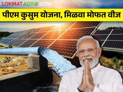 Solar energy system will be installed on 1 crores of houses in the country | आता शेतीपंपाना मिळणार मोफत वीज..काय आहे योजना..कुठे कराल अर्ज?