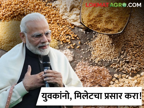 Latest News PM Modi In Nashik Young people, spread the millet! PM Modi's appeal in Nashik | PM Modi : युवकांनो, मिलेटचा प्रसार करा! पीएम मोदी यांचे नाशिकमध्ये आवाहन 