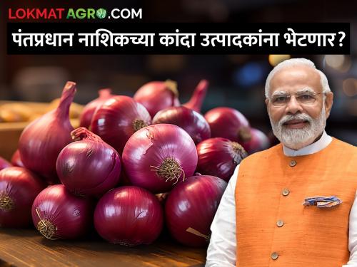 Latest News Will Prime Minister Narendra Modi meet onion farmers of Nashik | PM Modi Nashik Visit : पंतप्रधान नरेंद्र मोदी नाशिकच्या कांदा उत्पादक शेतकर्‍यांना भेटणार का?
