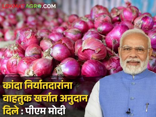 Latest News Govt gave subsidy for transport to onion exporters says PM Modi in nashik sabha | PM In Nashik : कांदा निर्यातदारांना वाहतुकीसाठी अनुदान, नाशिकच्या सभेत पीएम मोदी नेमकं काय म्हणाले? 