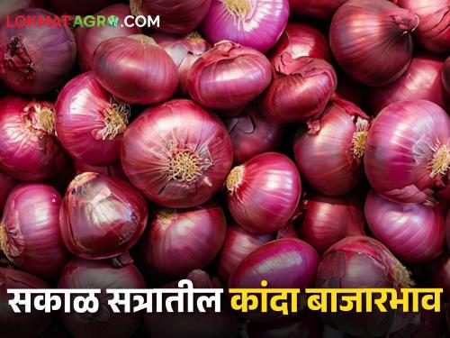 latest News Today PM modi in Nashik, what was market price of onion in market yards | PM In Nashik : आज पीएम नाशिकमध्ये, सकाळी कांद्याला काय भाव मिळाला? वाचा सविस्तर 