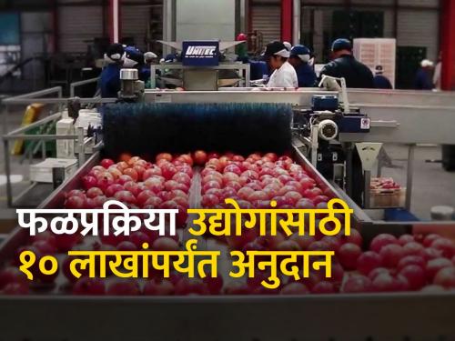 scheme for start fruit processing industry, where to apply? | फळप्रक्रिया उद्योग सुरू करण्यासाठी योजना, कुठे कराल अर्ज?