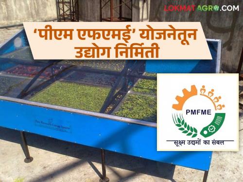 PM FME : Industry of drying leafy vegetables, onion through 'solar dryer' | PM FME : 'सोलार ड्रायर' द्वारे पालेभाज्या, कांदा सुकविण्याचा उद्योग; हजारो हातांना मिळाले काम