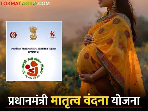 PMMVY : Farmer women, did you get five thousand rupees? Know the plan | PMMVY : शेतकरी महिलांनो, तुम्हाला मिळाले का पाच हजार रुपये? जाणून घ्या योजना