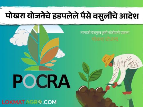 PoCRA Scheme Scam : Orders for recovery of ``so many'' crores of stolen Rupess  Read the exact case in detail | PoCRA Scheme scam : योजना पोखरुन हडपलेले "इतक्या" कोटी रूपयांच्या वसुलीचे आदेश;  काय आहे नेमके प्रकरण वाचा सविस्तर