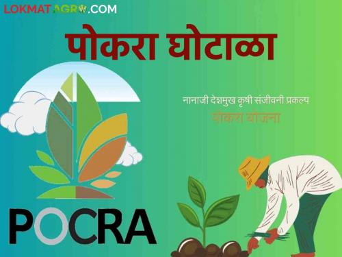 Pocra Scam : on agricultural assistants government take action ; Why not taken action to Sub-Divisional Agriculture Officers? Read in detail  | Pocra Scam : कृषी सहायकांवर कारवाई; उपविभागीय कृषी अधिकाऱ्यांना अभय असे का? वाचा सविस्तर 