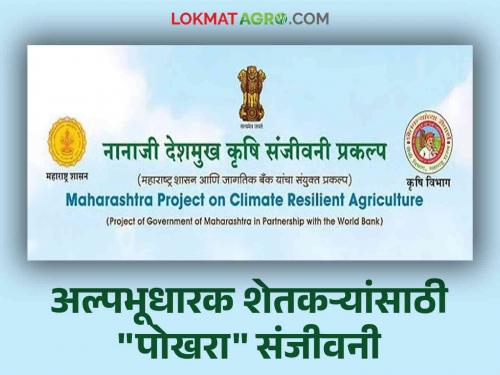 96 thousand farmers benefited from the schemes under Pokhara and changed the picture of agriculture; The second phase will be implemented soon | पोखरांतर्गत योजनांचा लाभ घेत ९६ हजार शेतकऱ्यांनी बदलले शेतीचे चित्र; लवकरच दुसऱ्या टप्प्यांची होणार अंमलबजावणी