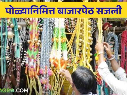 What material was sold in the market on the occasion of the hive? Read in detail | पोळ्यानिमित्त बाजारपेठ काय साहित्य आले विक्रीला? वाचा सविस्तर