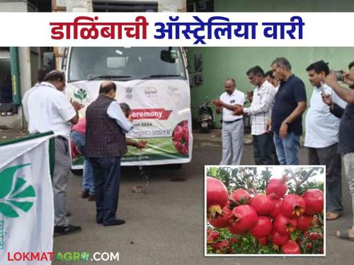 Women Farmer Kalpa from Pathardi taluka of Ahmednagar district farm Pomegranate export to Australia | अहमदनगर जिल्ह्यातील पाथर्डी तालुक्यातील महिला शेतकरी कल्पा यांचे डाळिंब ऑस्ट्रेलियाला रवाना