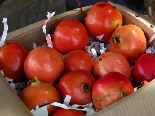 In the market of Akluj, pomegranate fetched the highest price of Rs.200 | अकलूजच्या मार्केटमध्ये डाळिंबाला मिळाला दोनशे रुपयांचा उच्चांकी दर