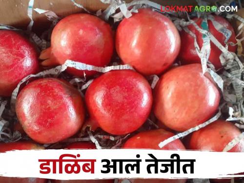 Dalimb Market: how much market price for pomegranate in Sangli market | Dalimb Market: सांगली मार्केटमध्ये डाळिंब तेजीत कसा मिळाला दर