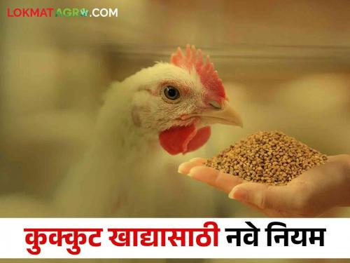 These guidelines are meant to provide quality poultry feed in the poultry industry | कुक्कुटपालन व्यवसायात गुणवत्तापूर्ण कुक्कुटखाद्य उपलब्ध होण्यासाठी आल्या ह्या मार्गदर्शक सूचना