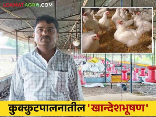 Poultry Success Story : Khandeshbhushan in Poultry Farming; Annual turnover of lakhs using 'this' method in poultry farming | Poultry Success Story : कुक्कुटपालनातील खान्देशभूषण; कोंबडी पालनात 'या' पद्धतीचा वापर करत वार्षिक लाखोंची उलाढाल