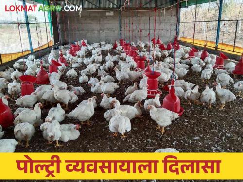 Change in gram panchayat tax for poultry sheds for poultry farmers | कुक्कुटपालन करणाऱ्या शेतकऱ्यांना पोल्ट्री शेडसाठी ग्रामपंचायत कर आकारणीमध्ये होणार बदल