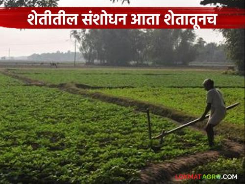 latest news Agriculture News: Experimental farmers can now get the title of 'Agricultural Researcher' Read in detail | Agriculture News : प्रयोगशील शेतकऱ्यांना आता 'कृषी संशोधक' पदवी वाचा सविस्तर