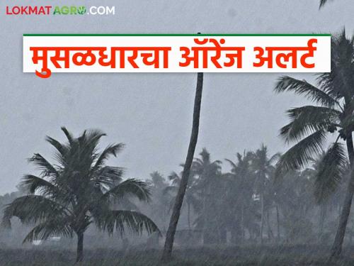 Signs of early arrival of monsoon, heavy rains expected in these places in the state for the next week | मान्सून लवकर येण्याचे संकेत, पुढील आठवडाभर राज्यात या ठिकाणी मुसळधार पावसाचा अंदाज