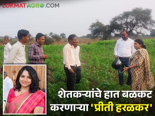 latest news chandrapur Director of Atma, Preeti Hiralkar, benefits of various schemes to farmers | चिया लागवड, हर्बल गार्डनसह प्रगत शेतीची वाट दाखविणाऱ्या 'प्रीती हरळकर' 